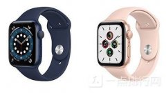 华为Watch GT 2和Apple Watch 5哪个好 想要高性价比就选它